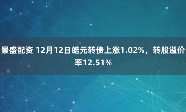景盛配资 12月12日皓元转债上涨1.02%，转股溢价率12.51%